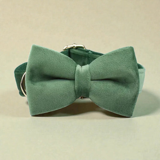 Green bow tie collar on a beige background