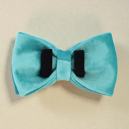 Turquoise bow tie with black straps on a beige background