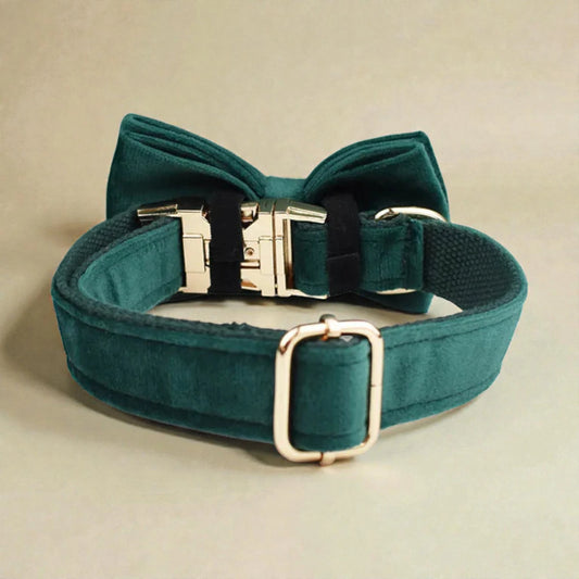 Personalised Velvet Dog Collar – Dark Green