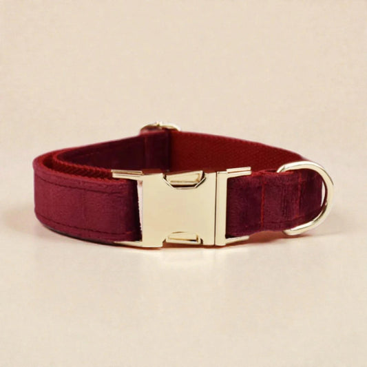 Red dog collar with gold hardware on a beige background