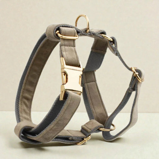 Grey dog harness with gold hardware on a beige background