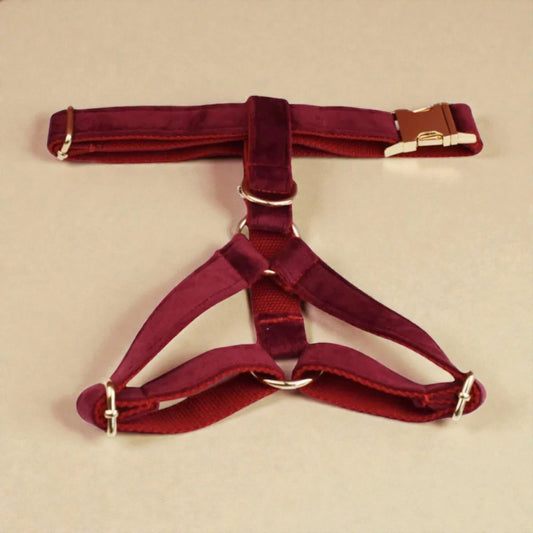 Red harness on a beige background