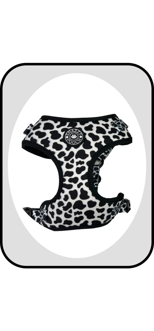 Slip on padded back clip harness