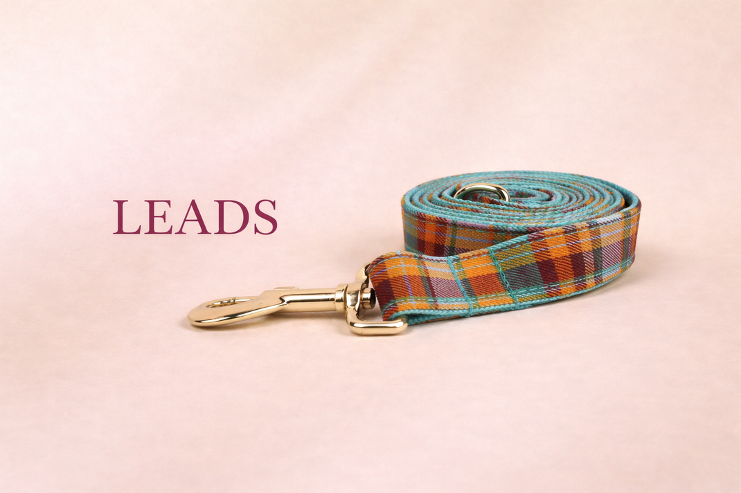 Leads