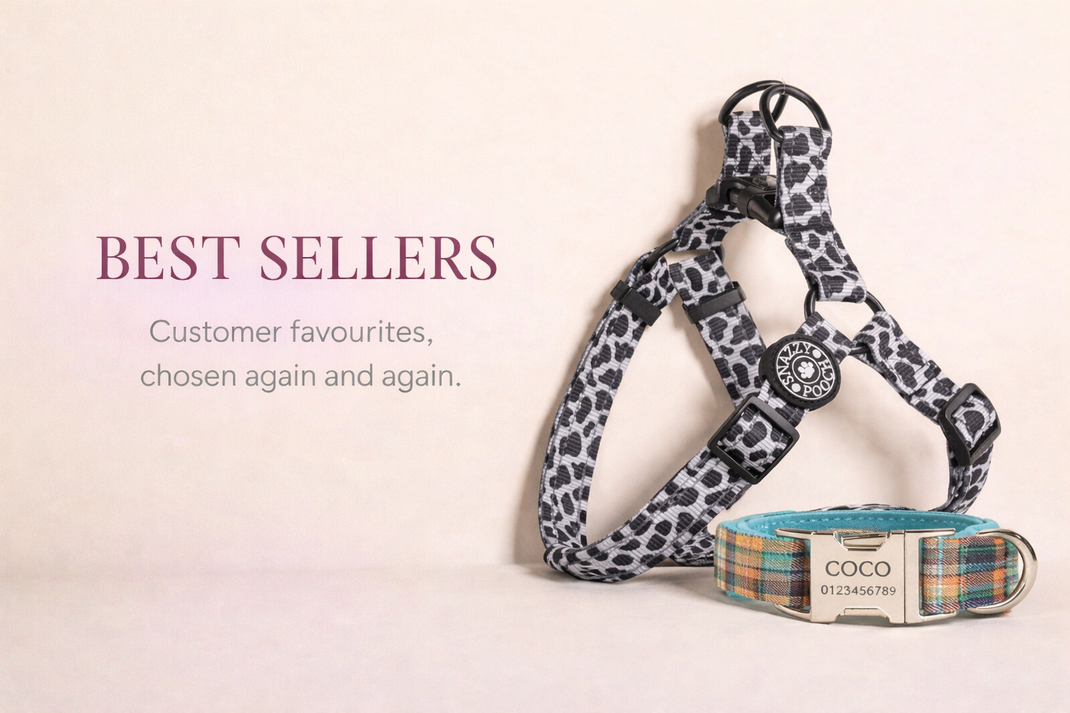 Best Sellers