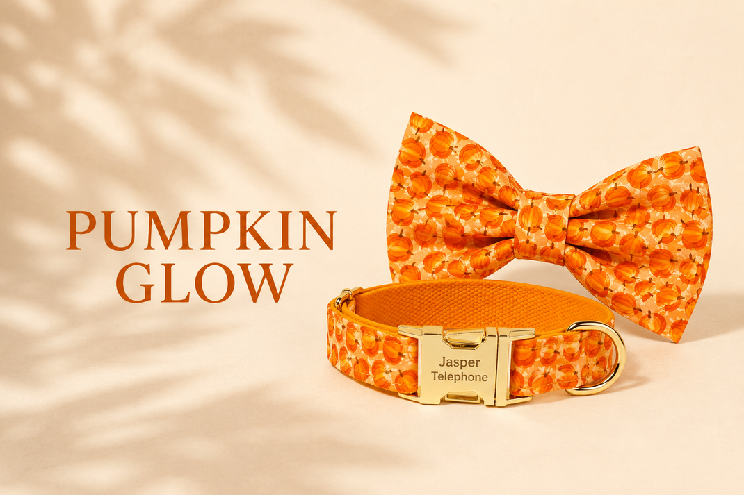 Pumpkin Glow