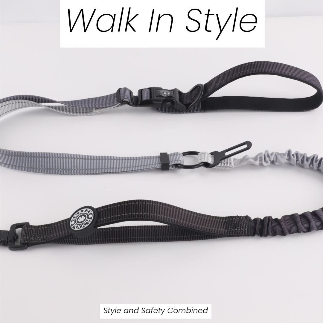 Black to grey fade dog lead