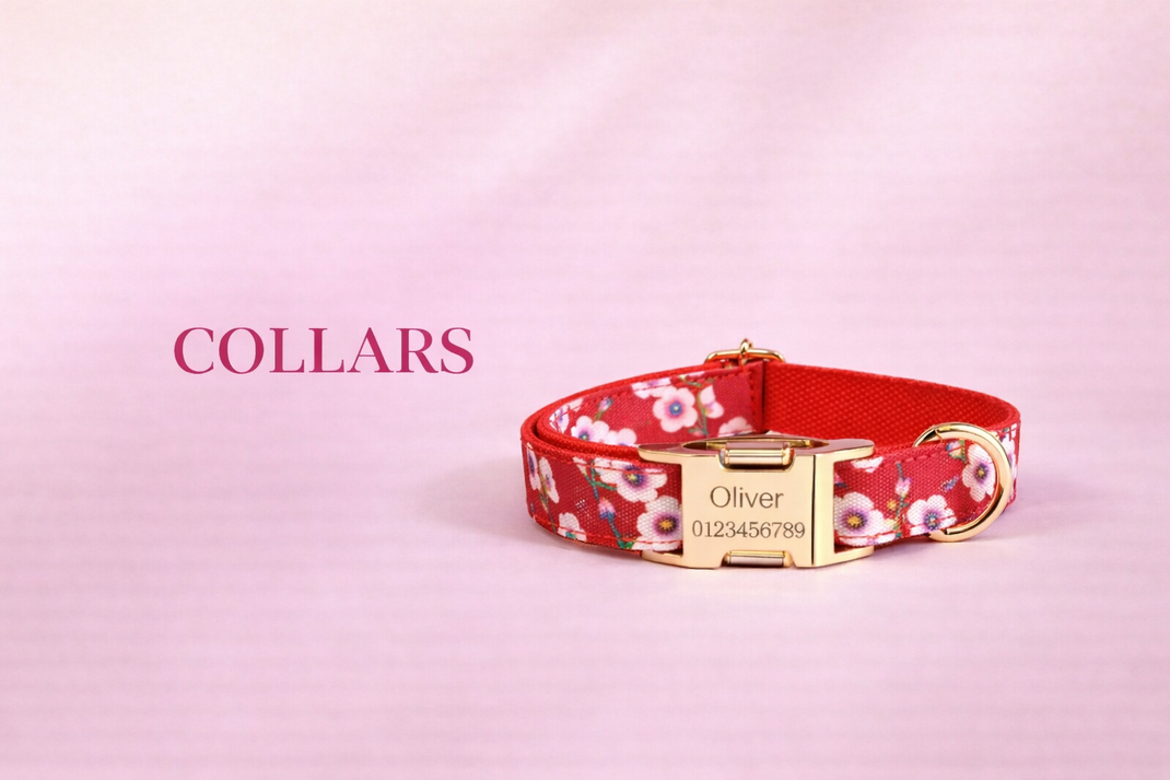 Collars