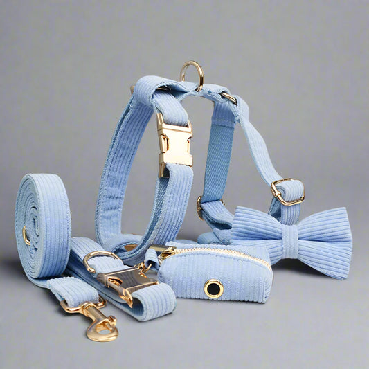 Light blue dog harness, lead, and bow tie set on a grey background