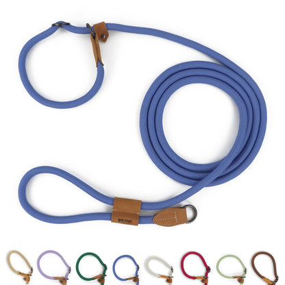 Blue dog leash with brown leather ends on a white background
