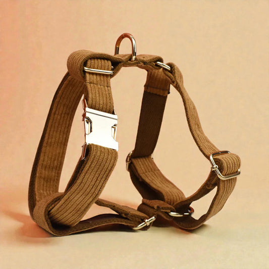 Brown dog harness with metal buckles on a beige background
