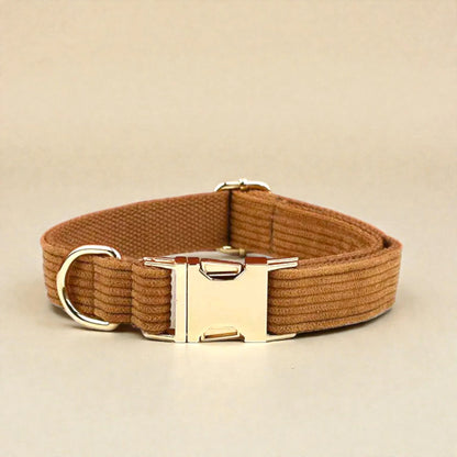 Brown dog collar with a gold buckle on a beige background