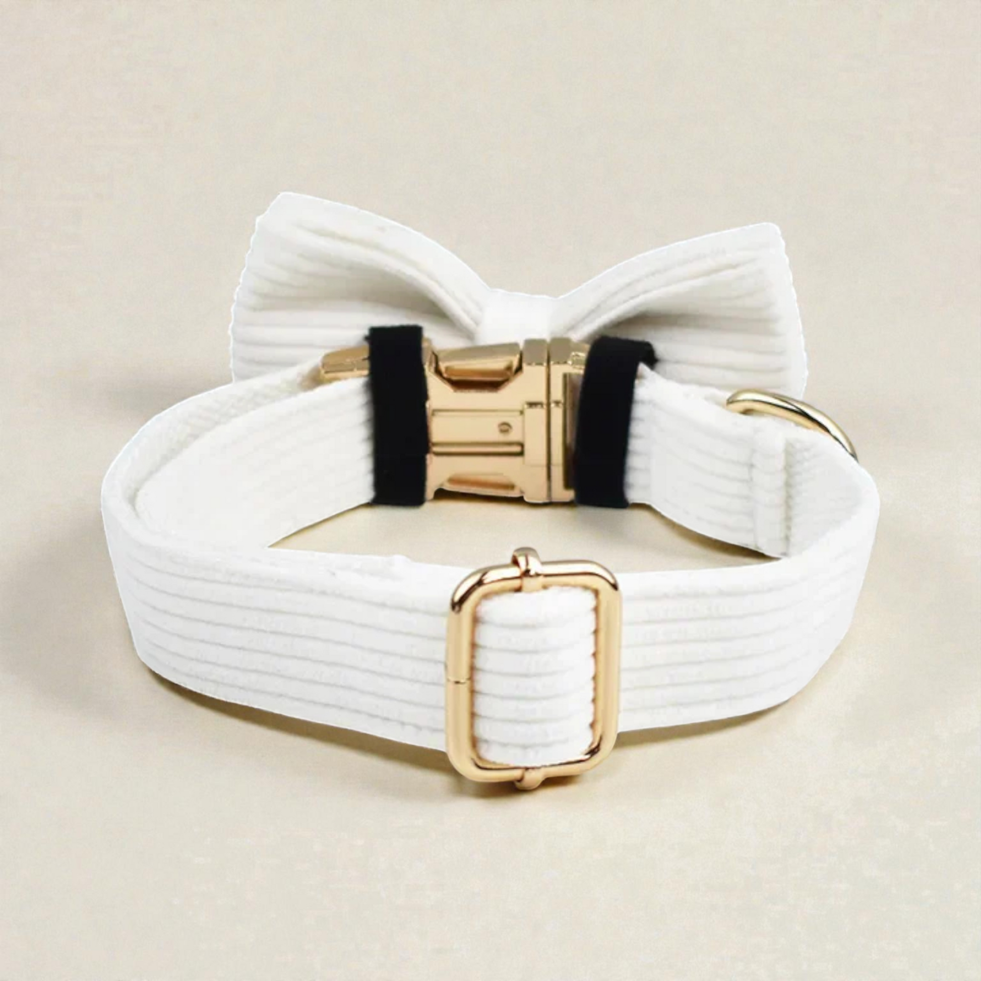 White corduroy dog collar with a bow and gold hardware on a beige background