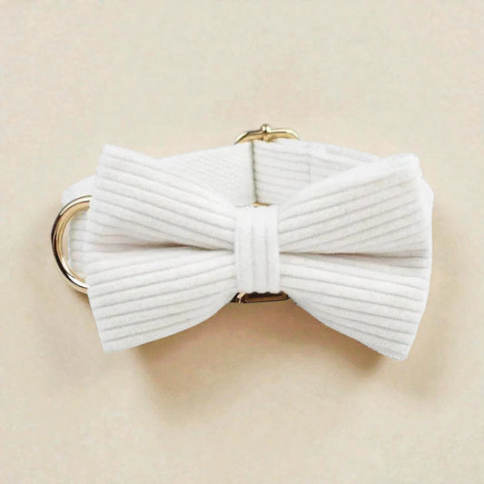 White bow tie on dog collar on a beige background