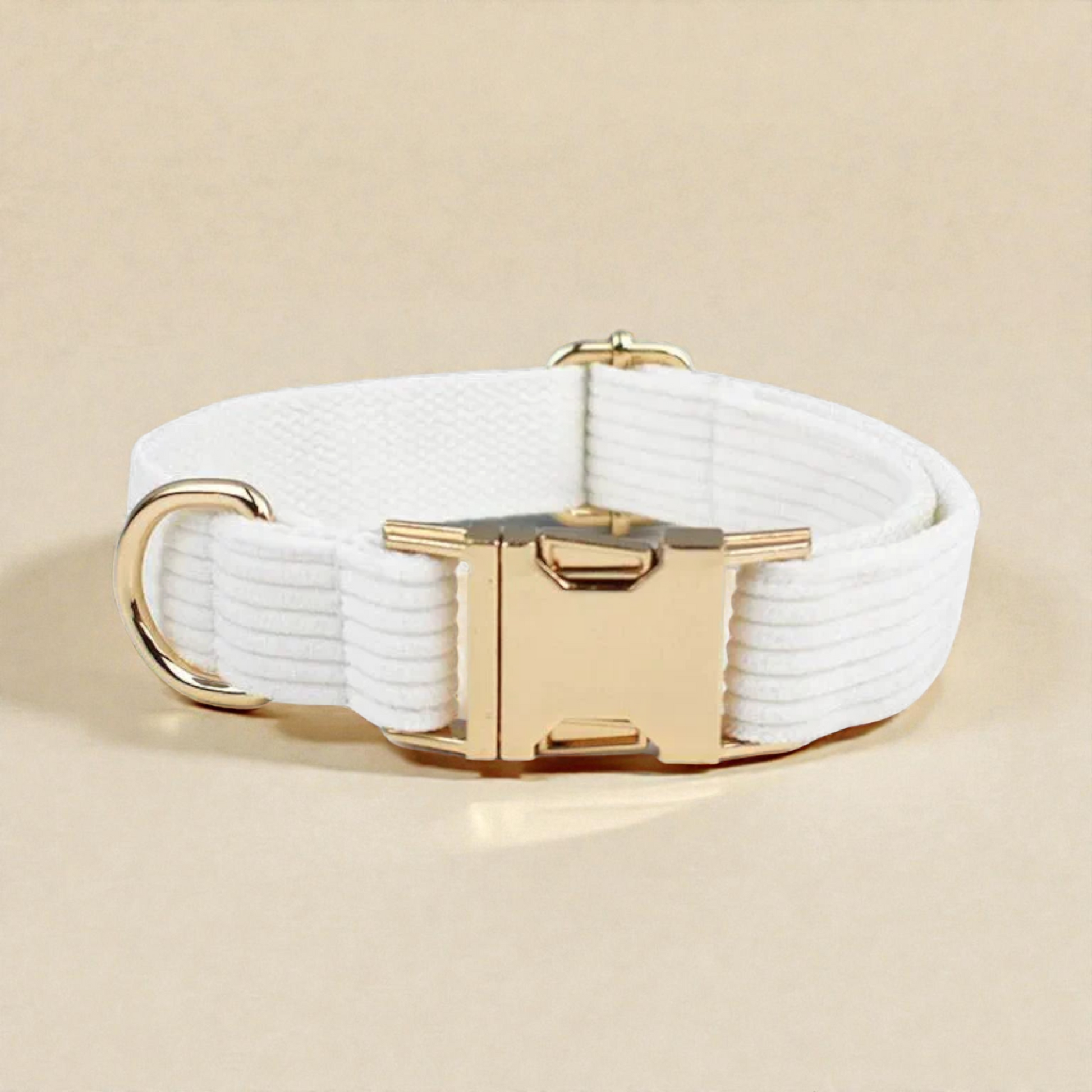 White corduroy dog collar with gold hardware on a beige background