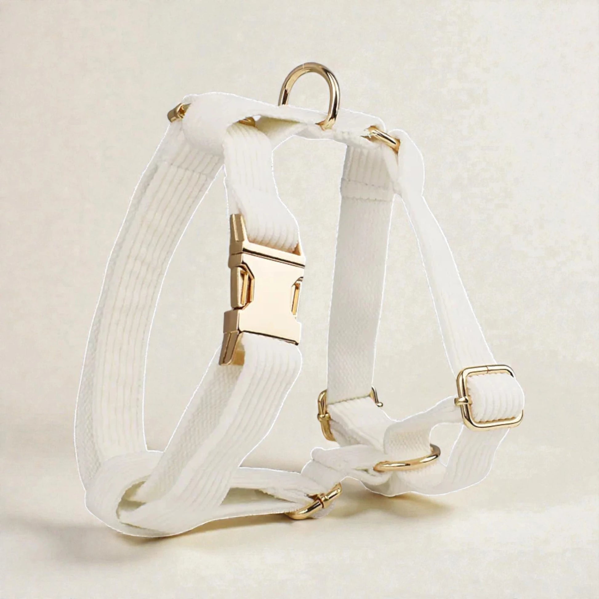 White dog harness with gold hardware on a beige background
