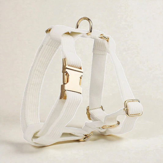 White dog harness with gold hardware on a beige background