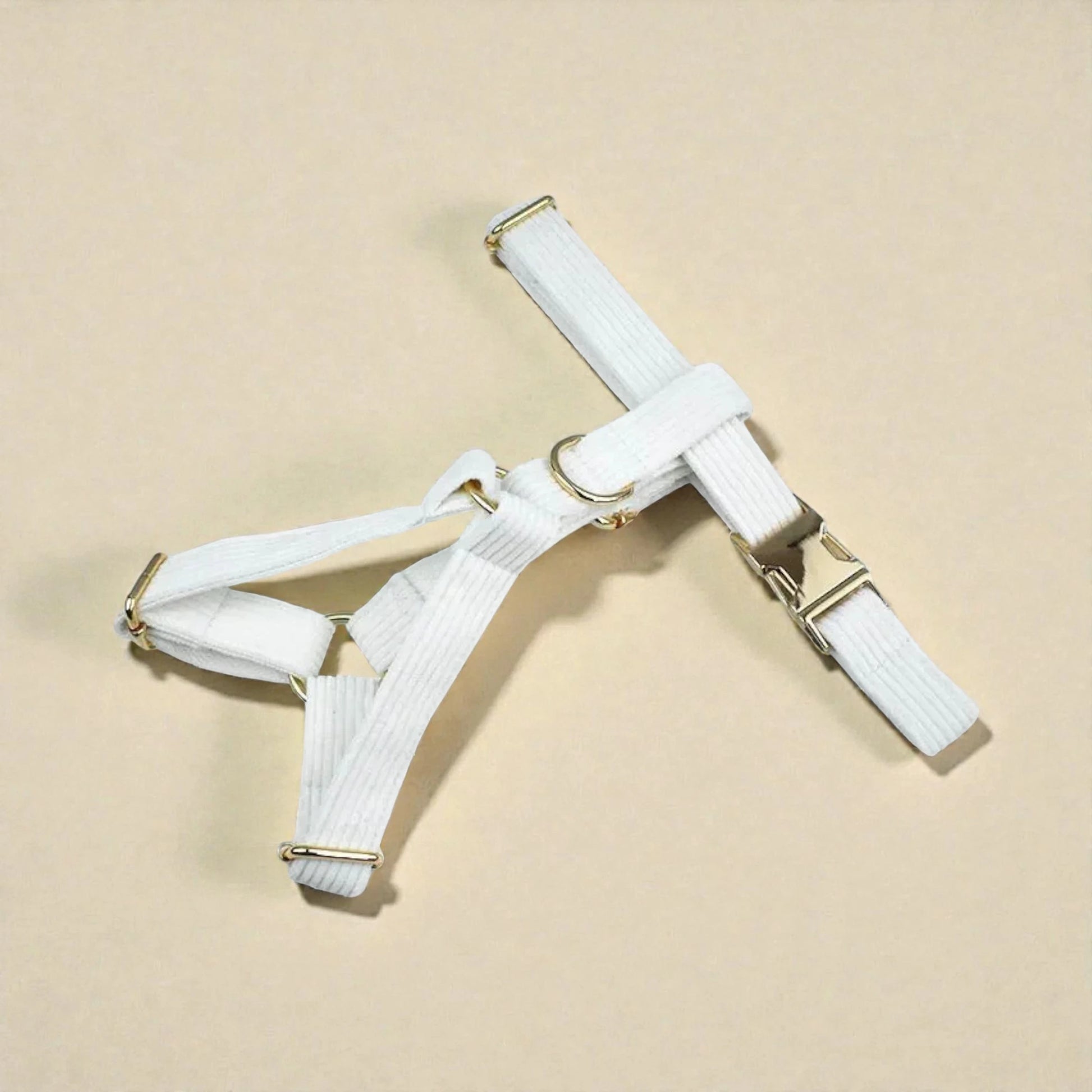 White dog harness with gold hardware on a beige background