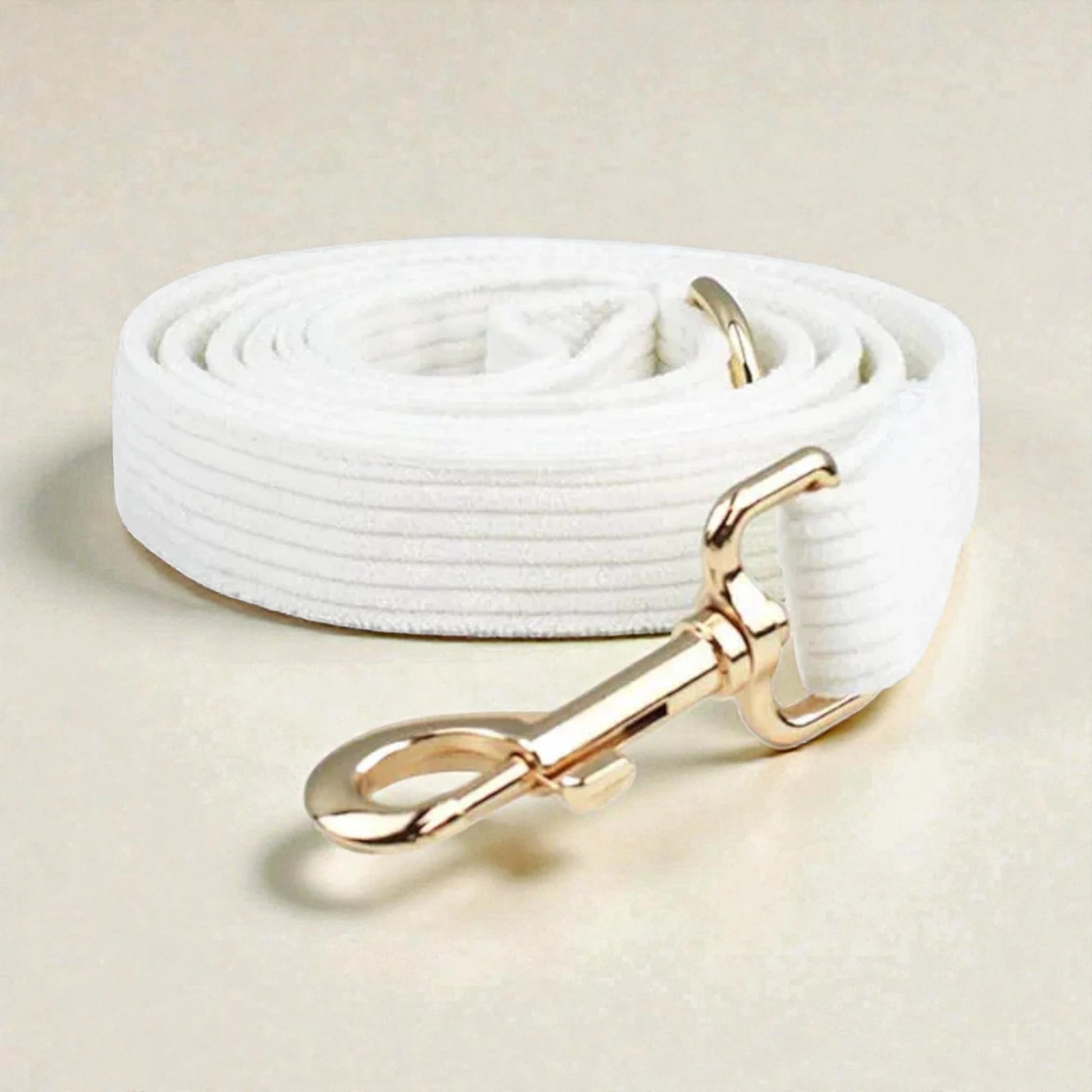 White corduroy dog lead with a gold clasp on a beige background