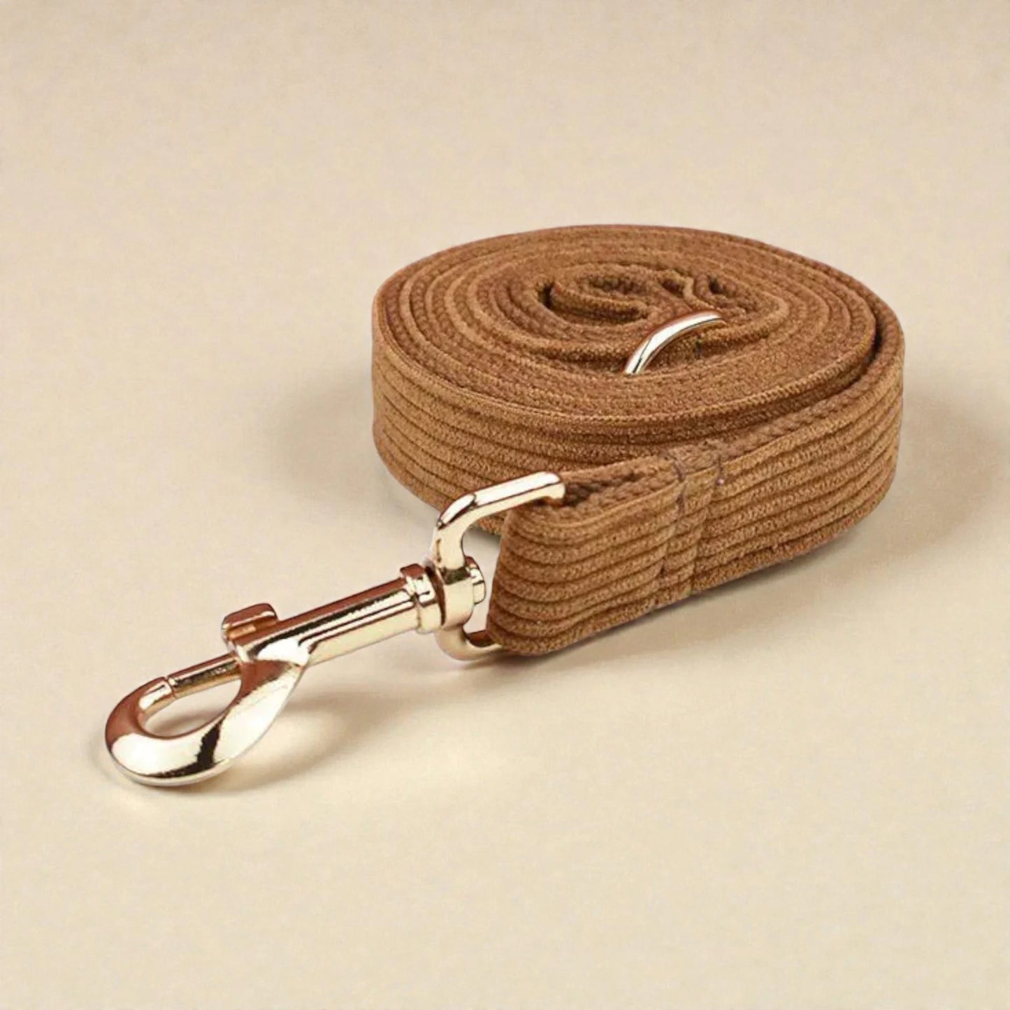 Brown dog lead with a gold clasp on a beige background