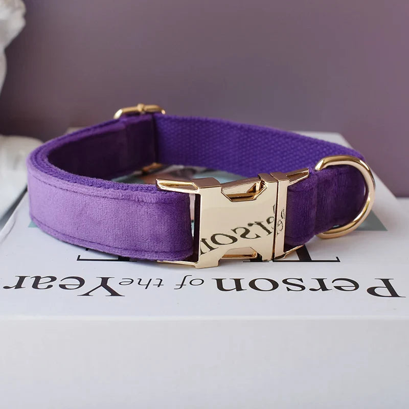 Luxury handmade velvet fabric dog collar in purple with engravable buckle.