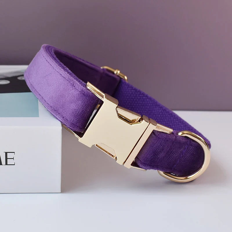 Handmade velvet fabric purple dog collar with engravable clasp and gold hardware.