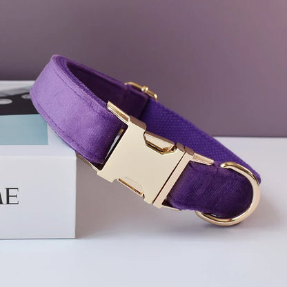 Handmade velvet fabric purple dog collar with engravable clasp and gold hardware.