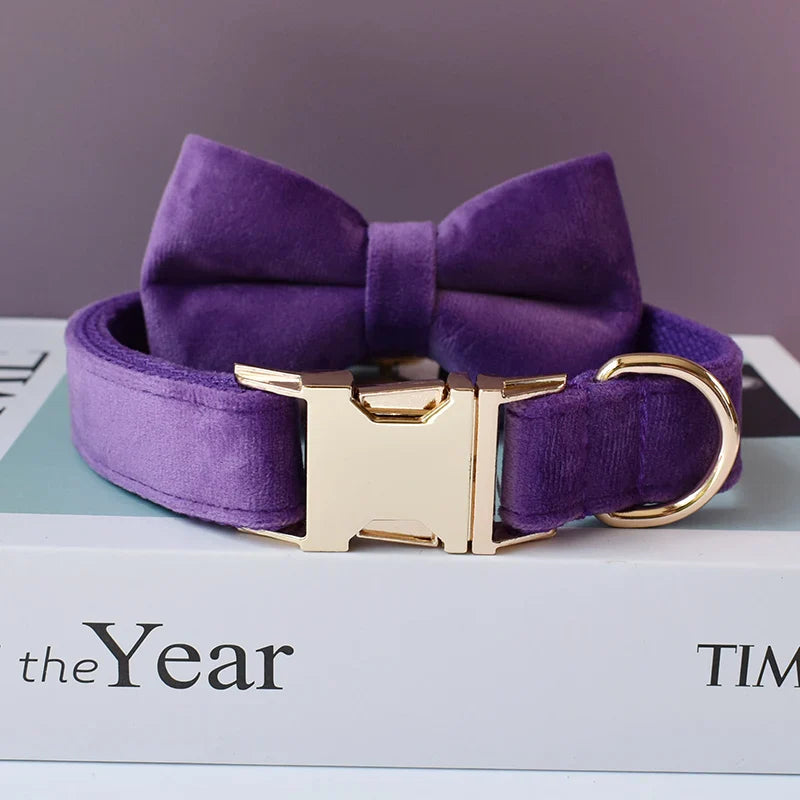 Handmade purple velvet dog collar with engravable nameplate and detachable bow tie.