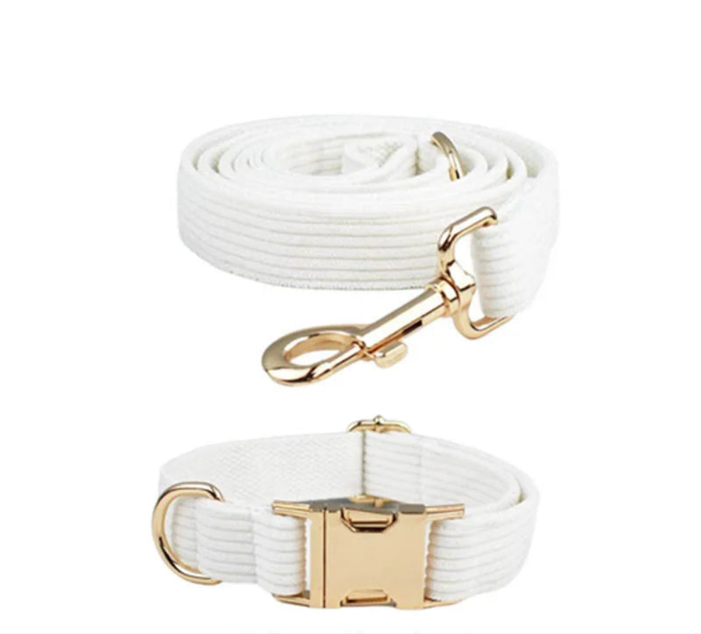 White corduroy dog collar with gold metal hardware, luxury pet accessory.
