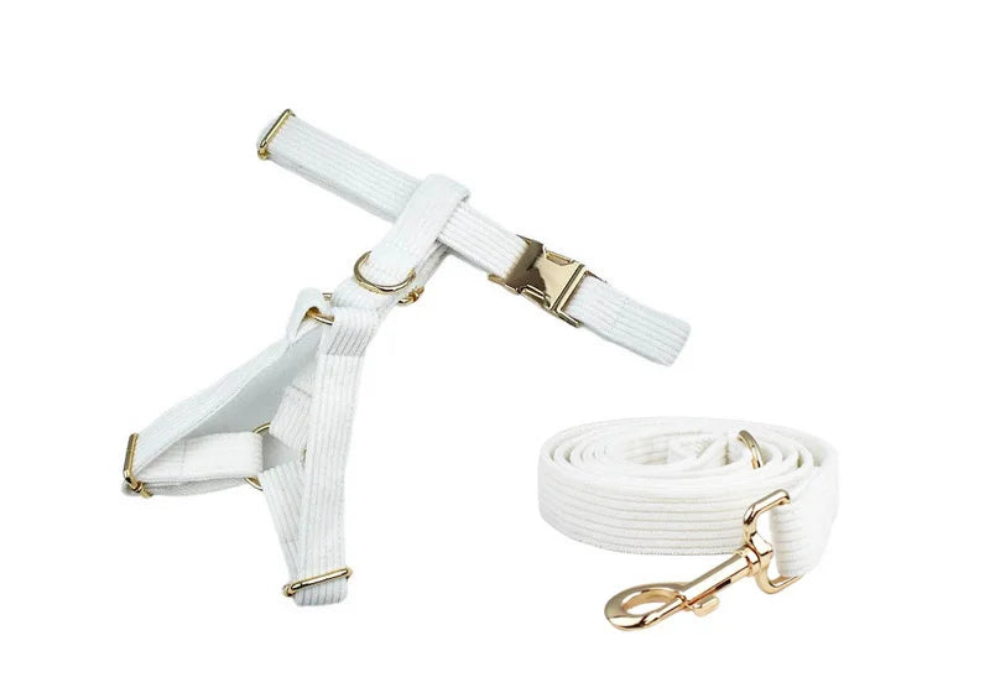 White corduroy dog collar and lead set with gold metal hardware, offering luxurious style and custom engraving options.