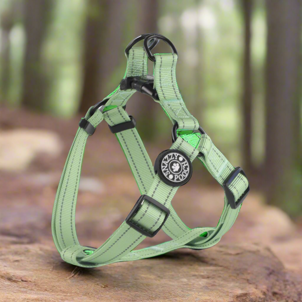 Adjustable step-in dog harness in peppermint green with reflective stitching and ergonomic design for comfort and safety.