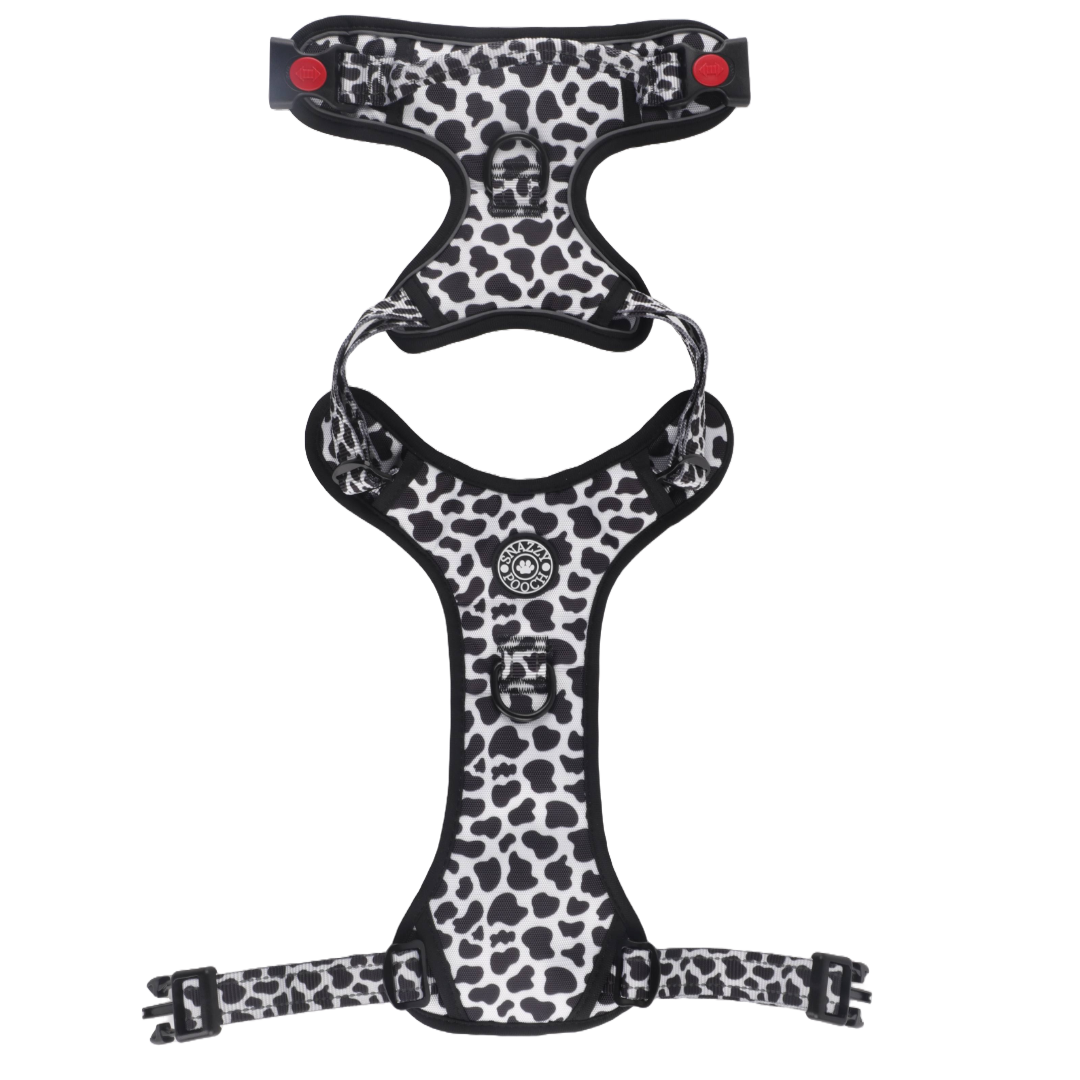 Black and white cow print dog harness.