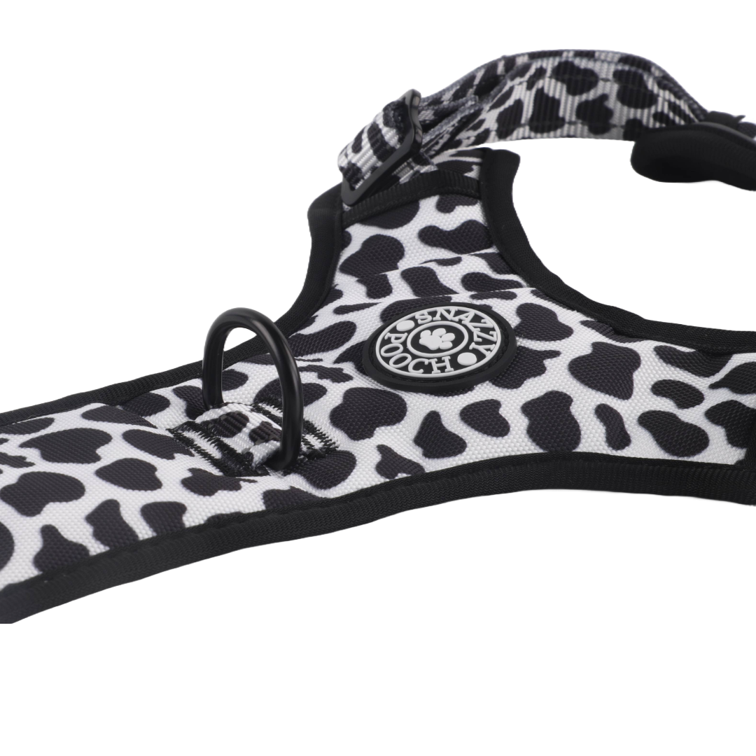 Close-up of a black and white dalmatian-print dog harness.