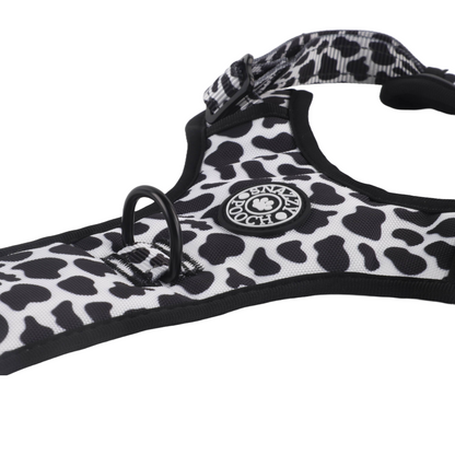 Close-up of a black and white dalmatian-print dog harness.