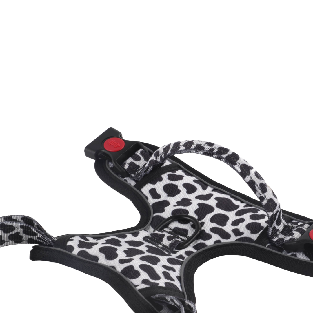 Black and white dalmatian print dog harness.