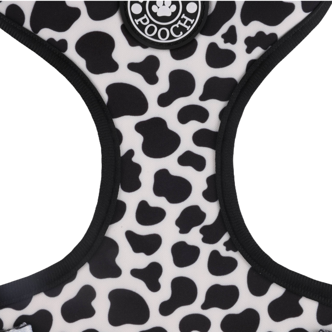 Close-up of a cow-print dog harness.