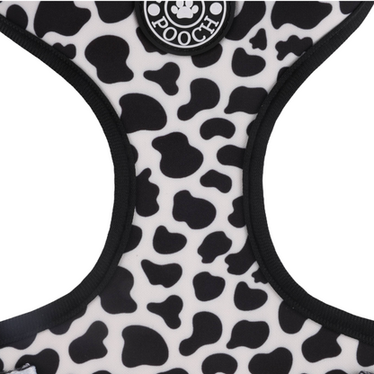 Close-up of a cow-print dog harness.