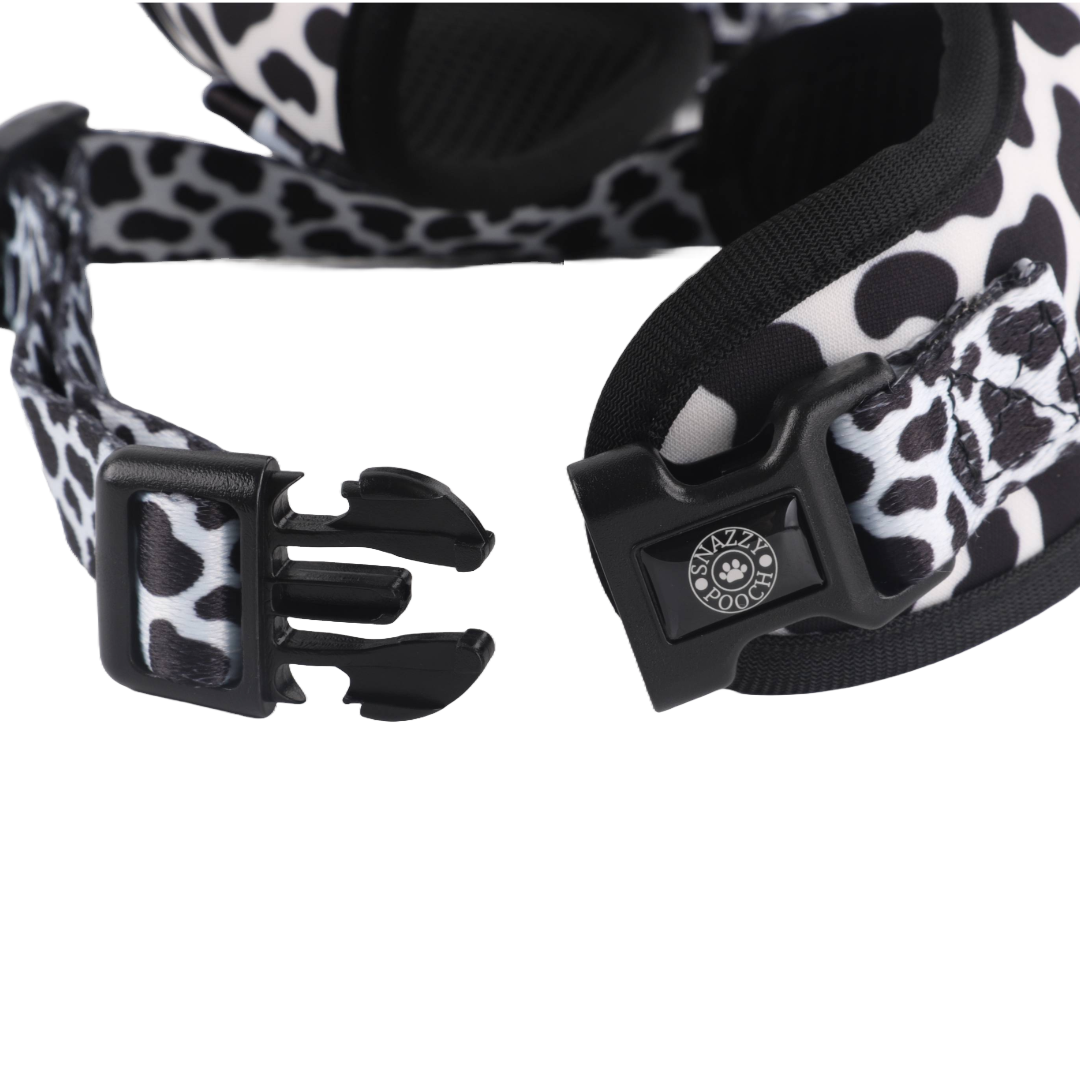 Close-up of a Snazzy Pooch dog collar with a black and white dalmatian print.
