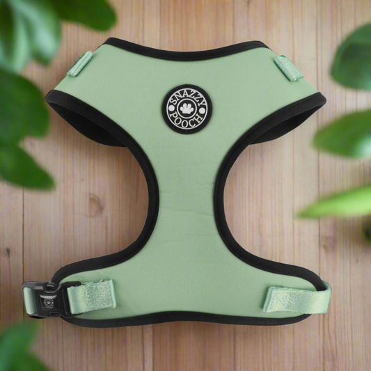 Padded slip on harness in peppermint color with neoprene lining, quick drying, and adjustable straps for pets.