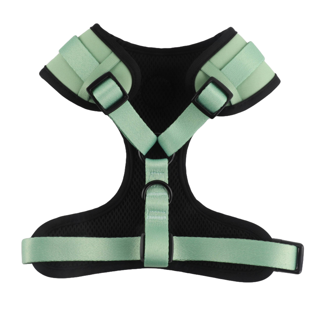Padded slip-on harness in peppermint color with adjustable straps.