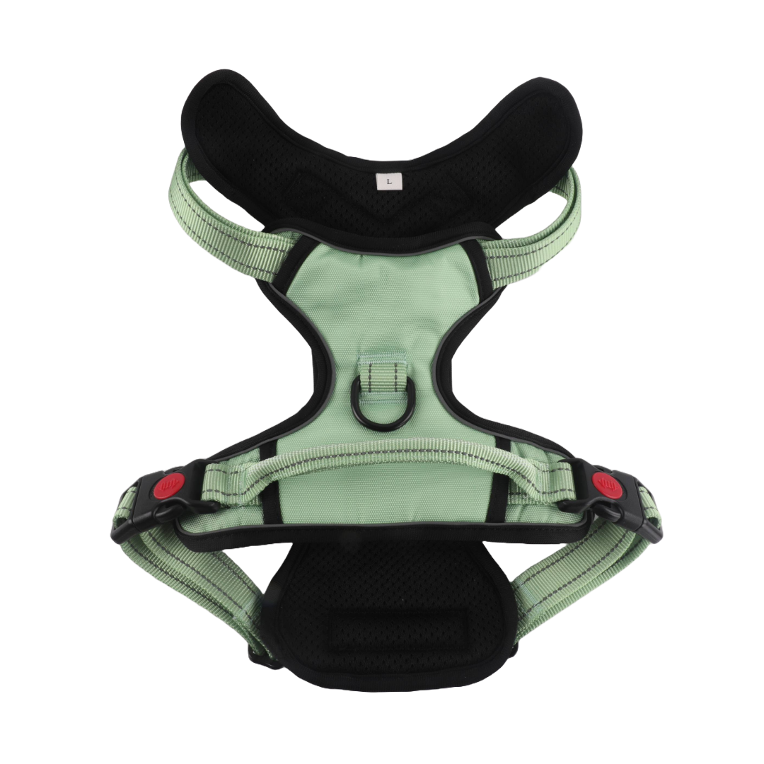 Snazzy Pooch Peppermint no-pull active dog harness in calming green with breathable mesh and reflective trims for safety and comfort.
