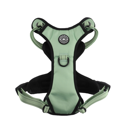 Snazzy Pooch Peppermint no-pull dog harness in calming green with reflective trims and durable, breathable fabric.