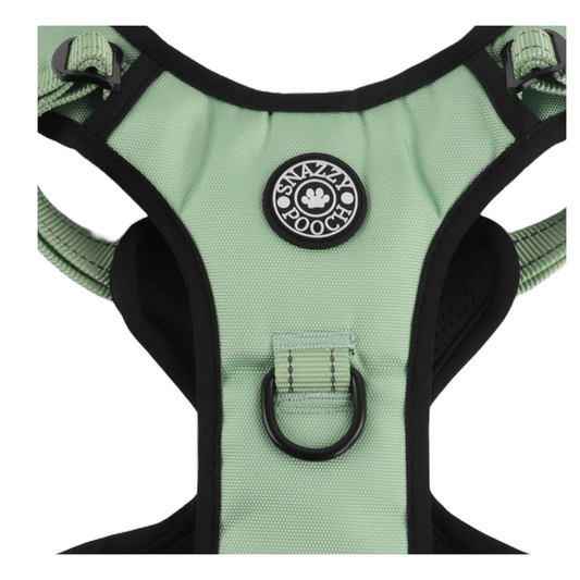Snazzy Pooch Peppermint No-Pull Dog Harness with padded mesh and reflective trims for safe, comfortable walks.