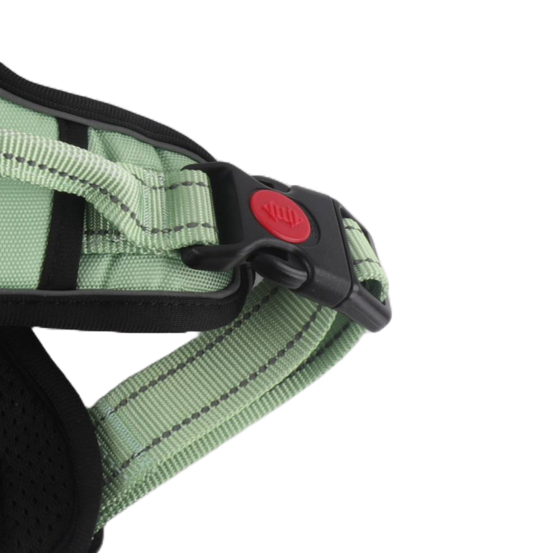Snazzy Pooch Peppermint no-pull training harness with lockable buckle and reflective trims.