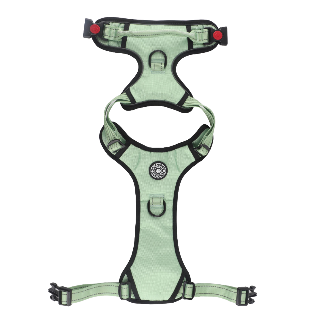 Snazzy Pooch Peppermint No-Pull Training Harness with reflective trims, front clip, and lockable buckles.