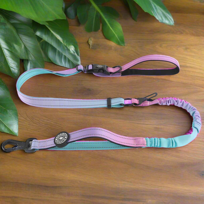 Pastel purple and teal dog leash.