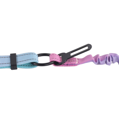 Close-up of a pastel-colored dog leash's clasp.