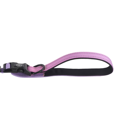 Purple dog collar with black buckle.