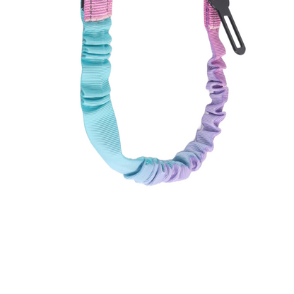 Pastel blue and purple bungee dog leash.