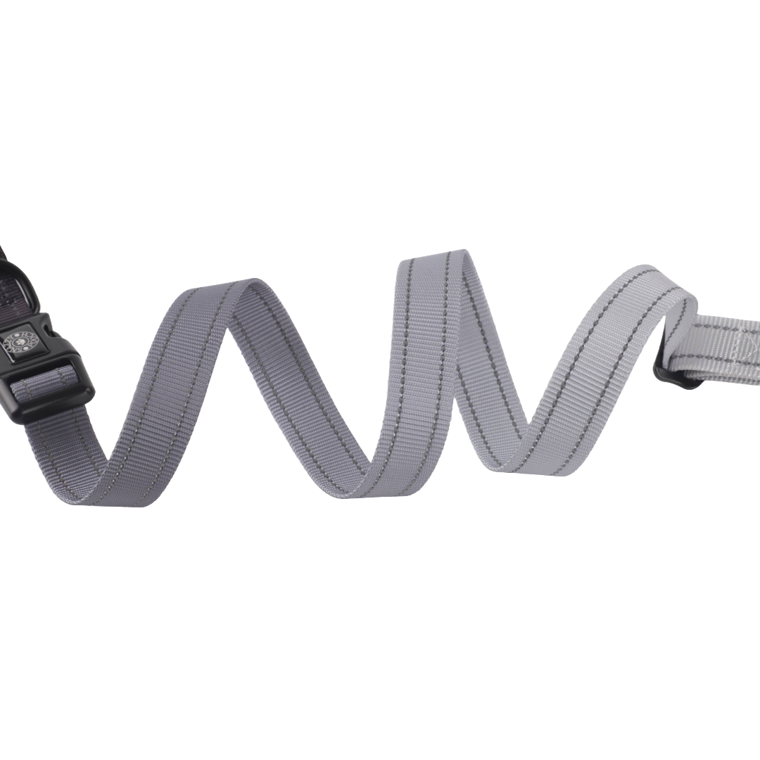 Grey dog collar coiled on white background.